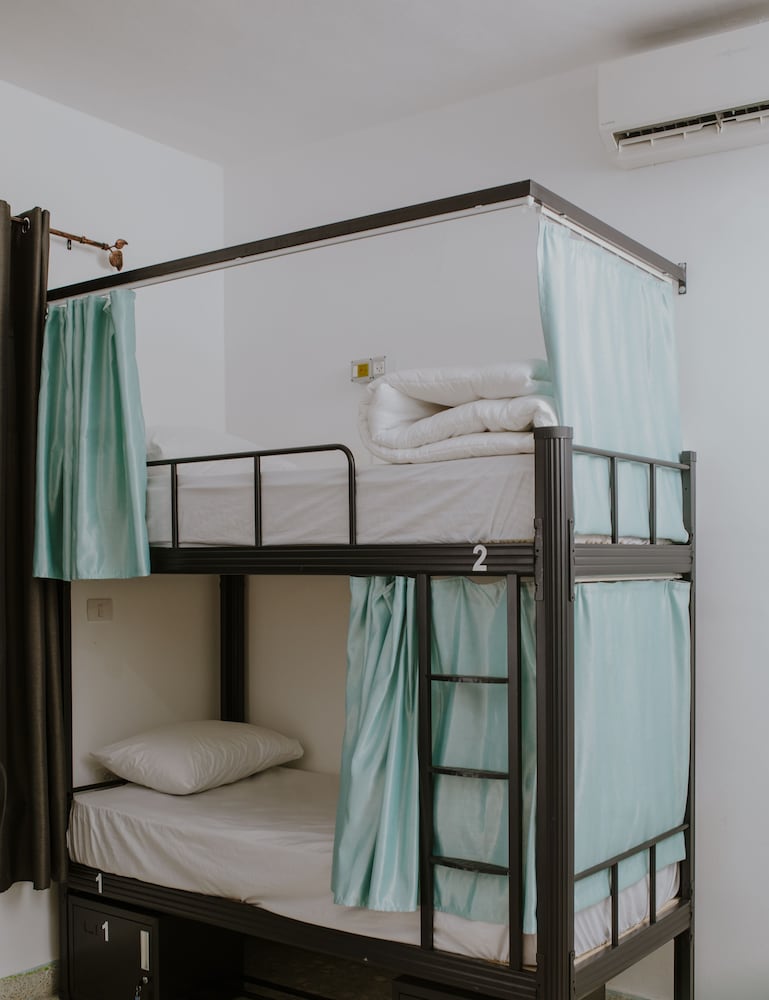 OliveTreeHostel, photo 40