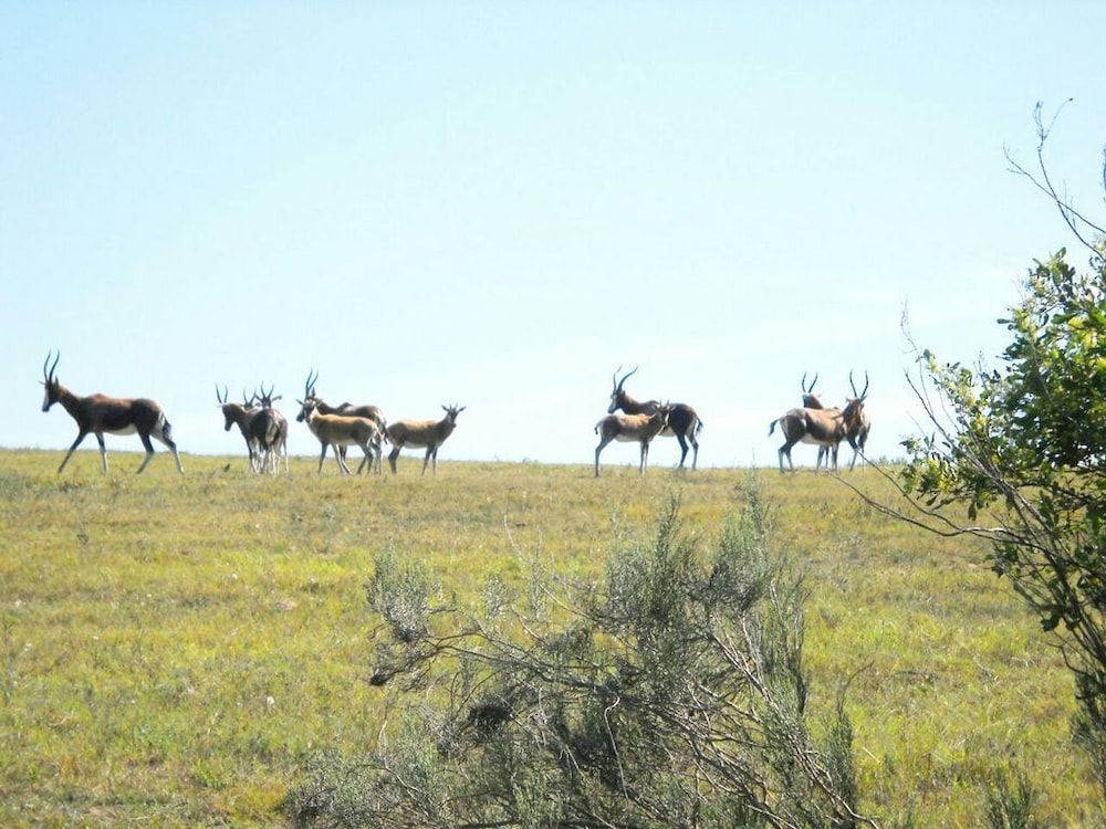 Pabala Game Farm