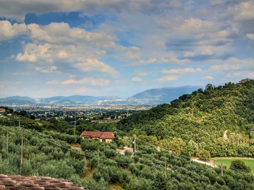 Photo 31