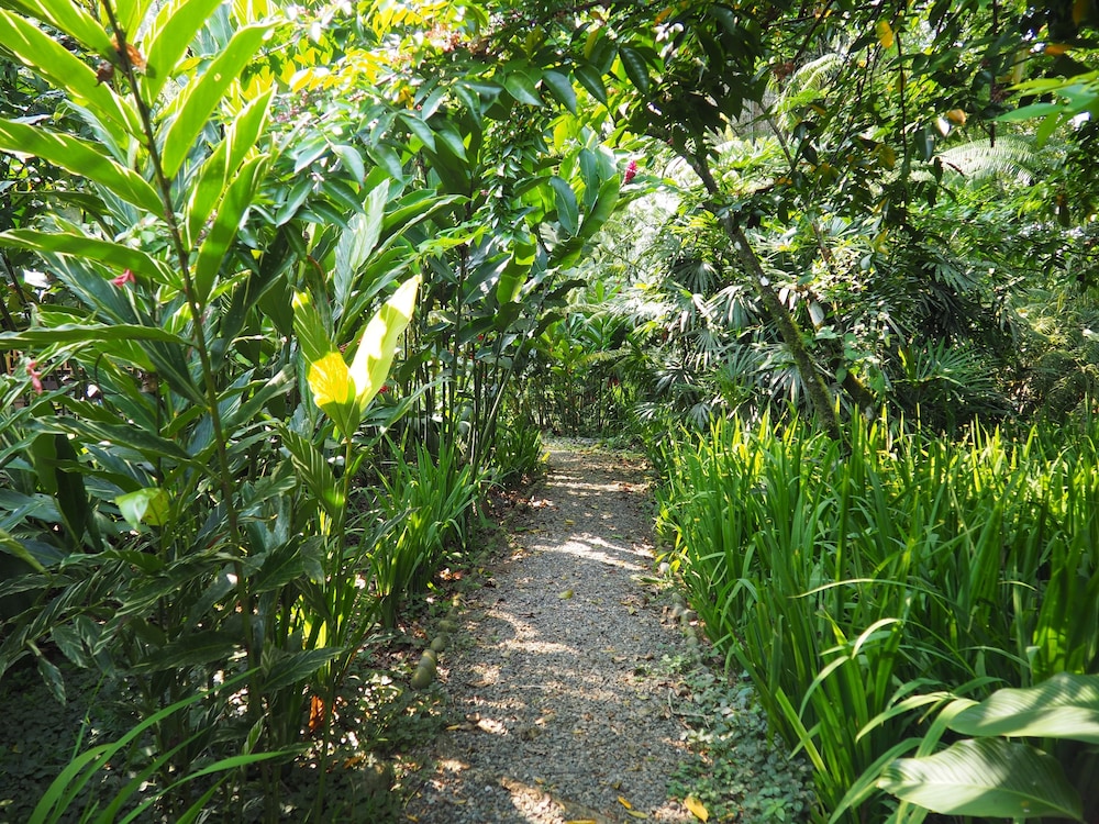 La Finca Chica