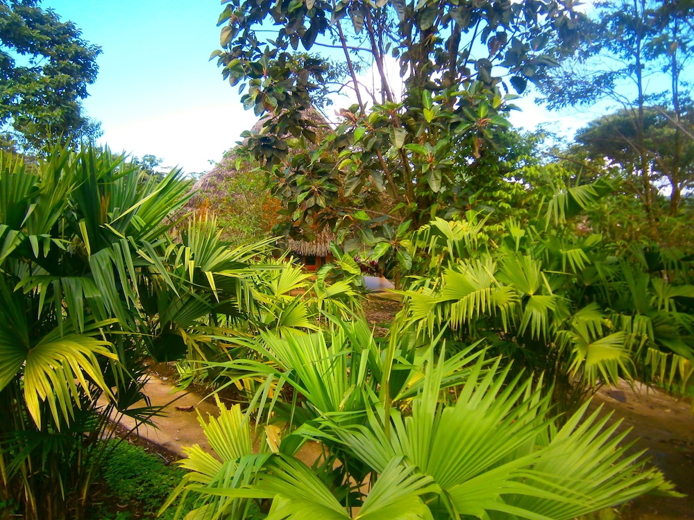 Photo 45