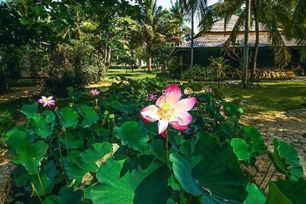 Sunny Paradise Resort