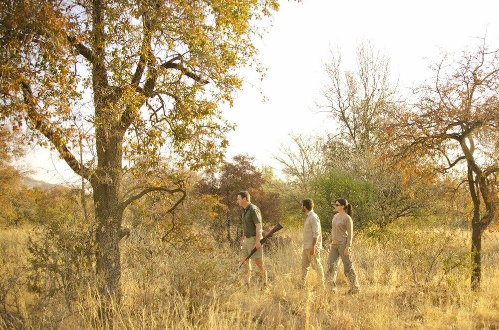 Morokolo Safari Lodge