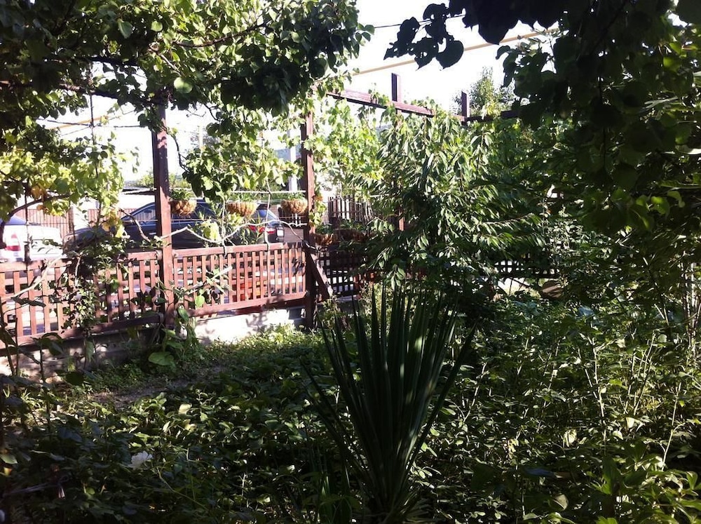 Photo 28