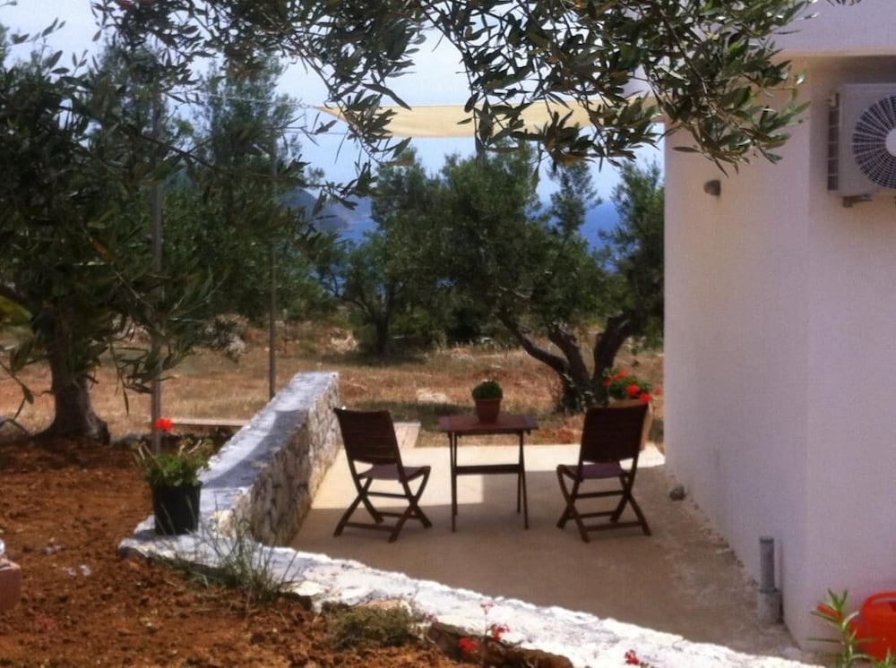 The Olive Grove Tsapi