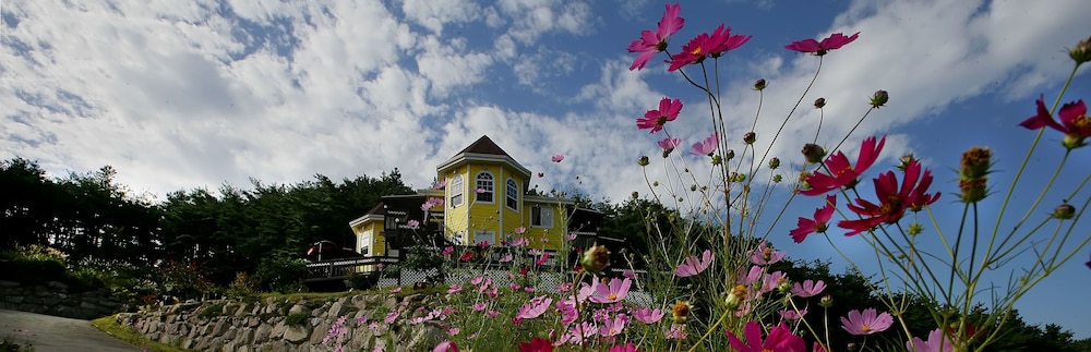 Yellowstar Pension