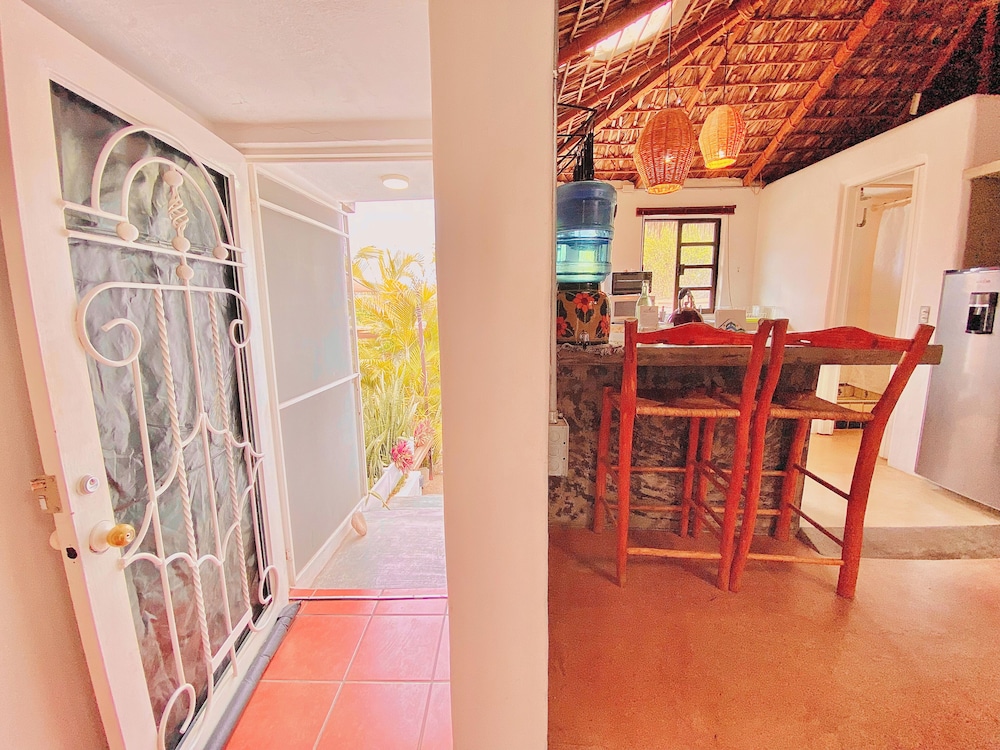 Perro Surfero Hotel Boutique - Todos Santos, BCS