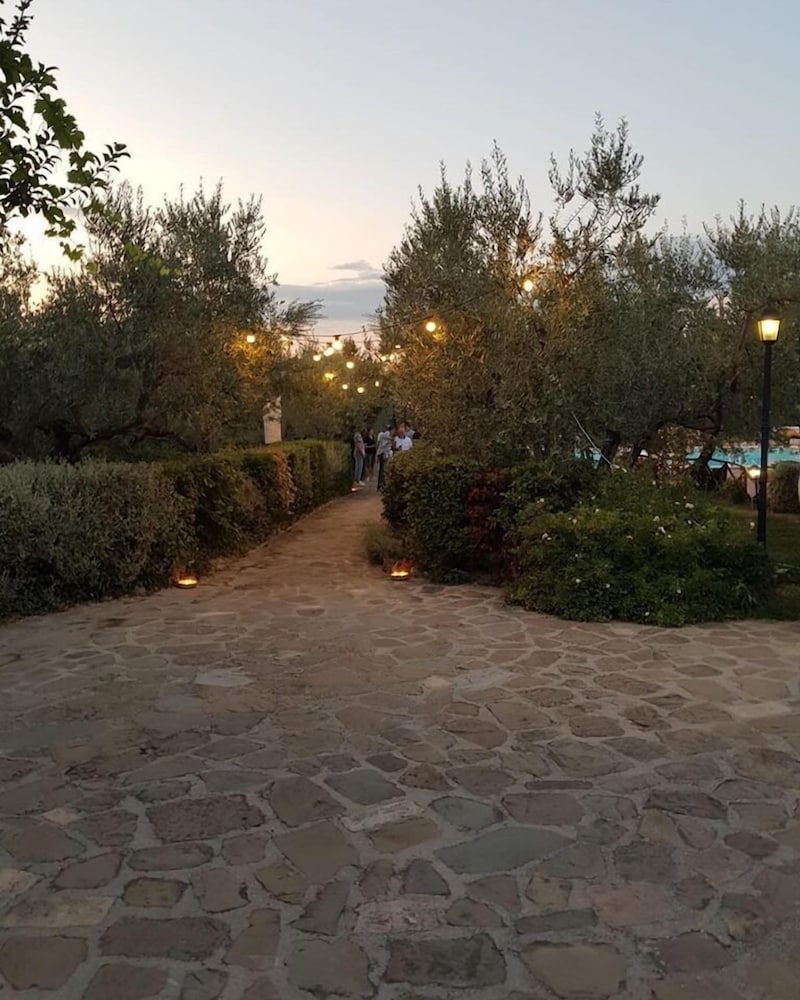 Photo 43