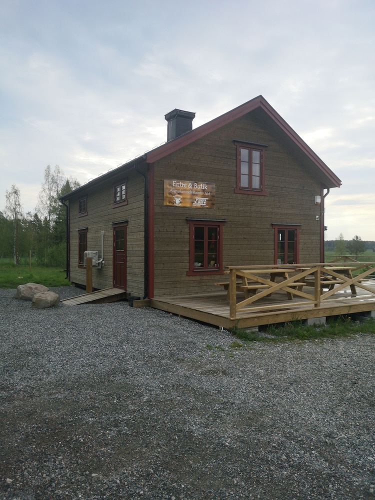 Photo 12