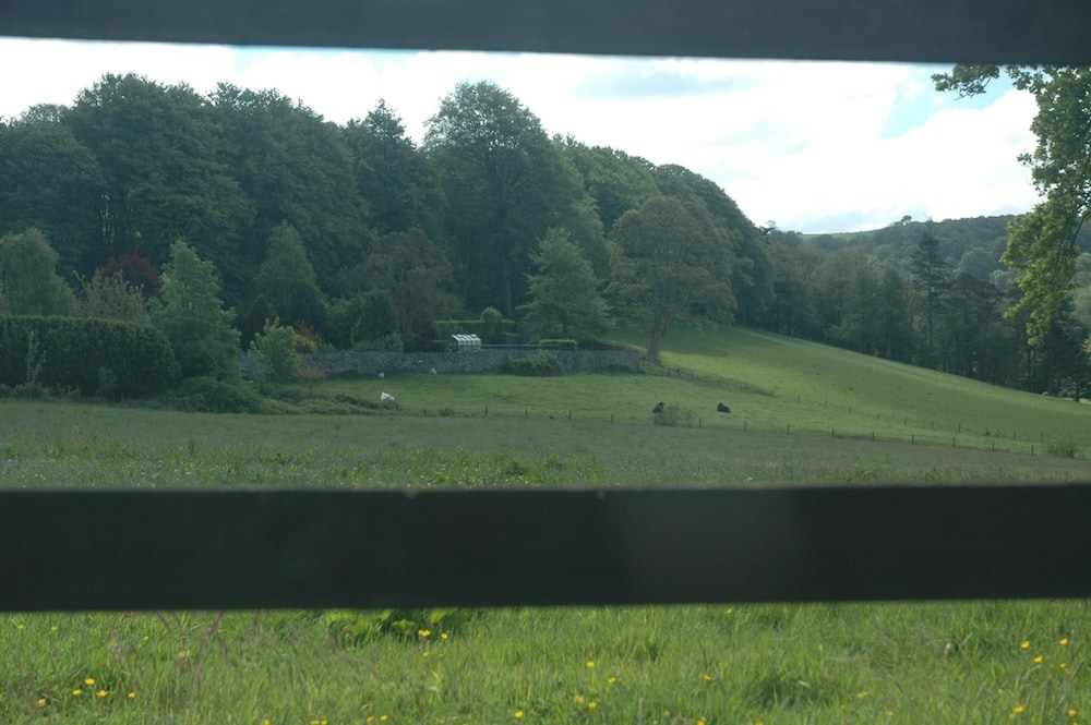 Photo 43