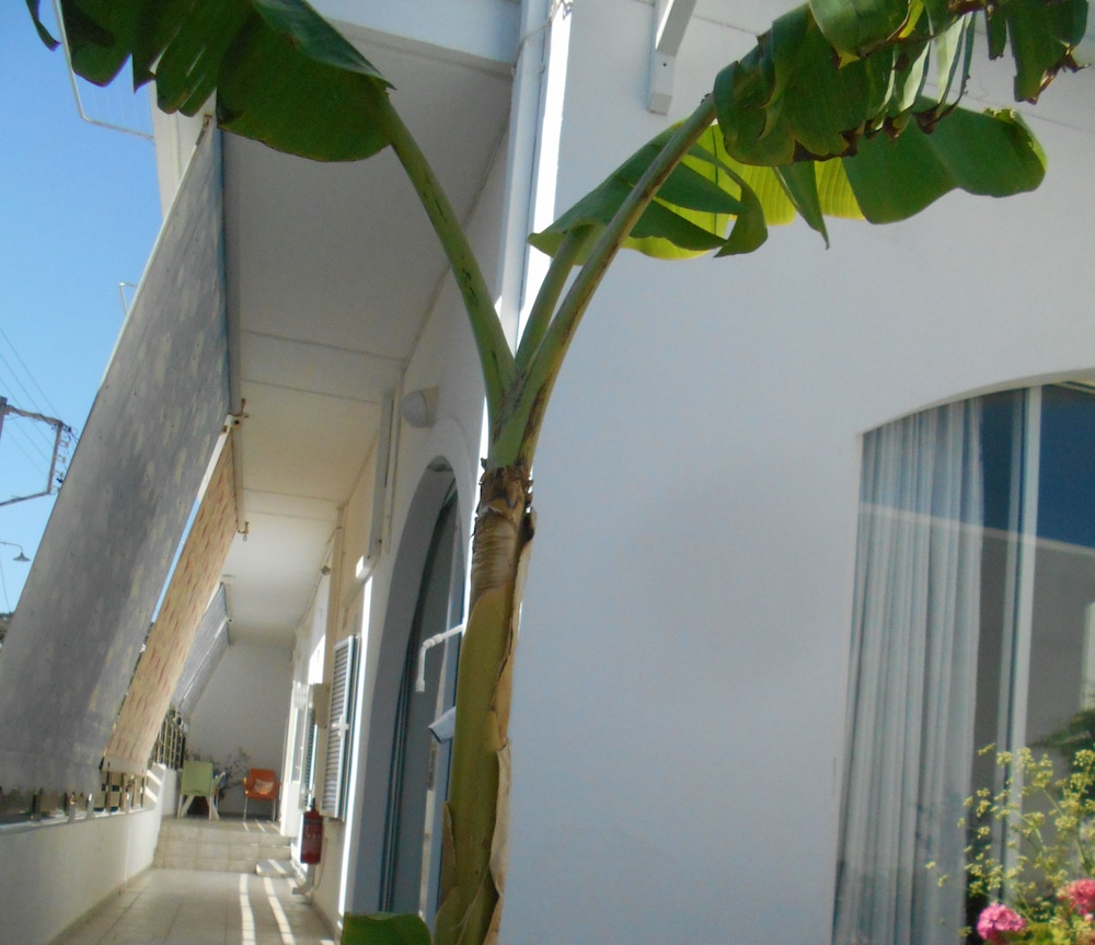 Garifalia Studio's photo 5