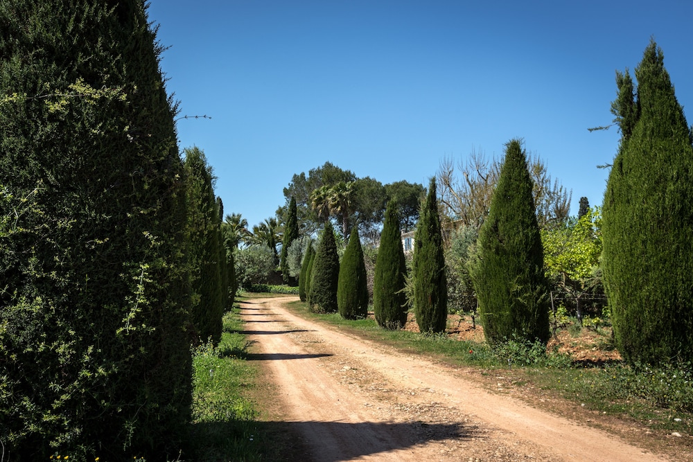 Finca Son Miranda