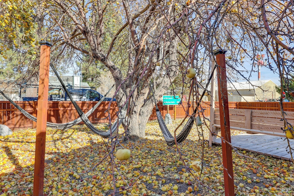 Fish, Hike & Explore: Cabin w/ Yard in Big Bear