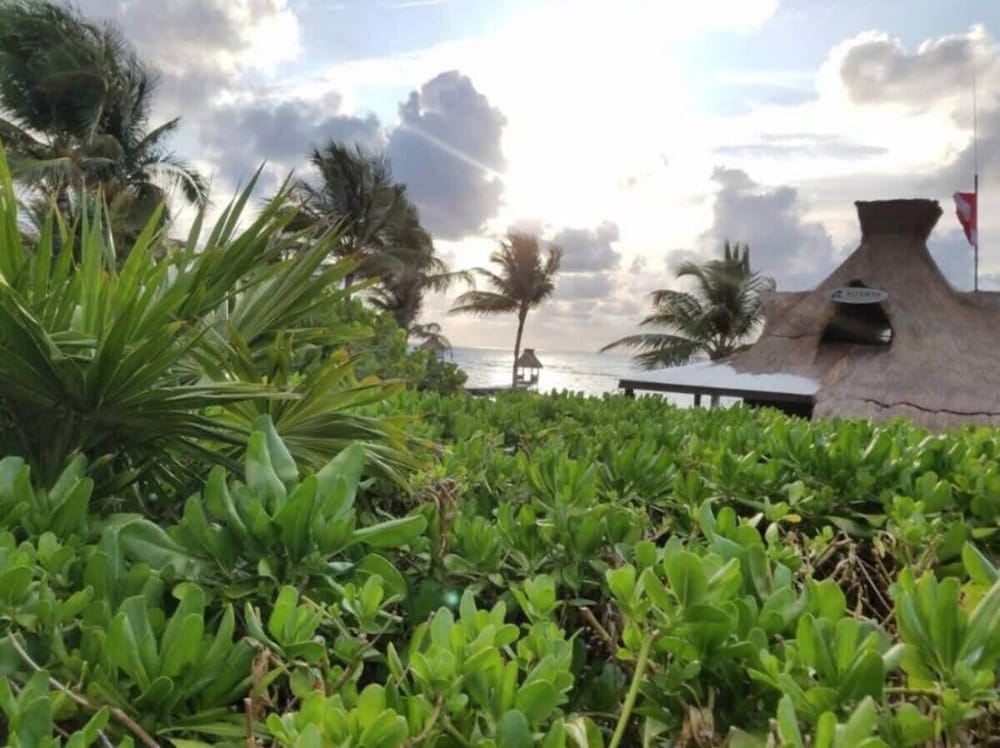 2BD Grand Bliss Vidanta Resort RM