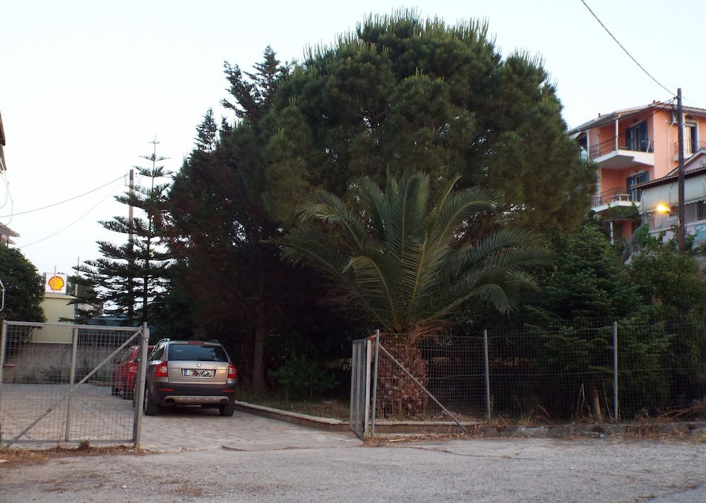 Photo 20