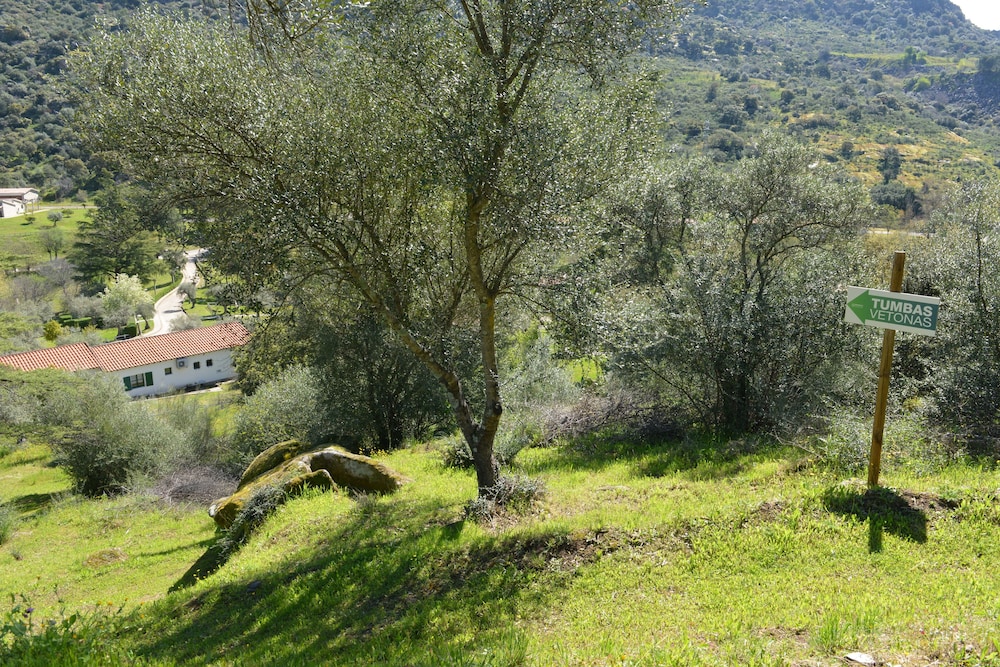 Casas Rurales Aldeaduero