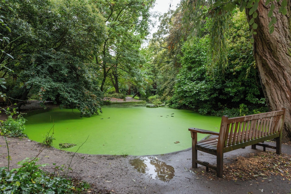 Canonbury Park North II by Onefinestay