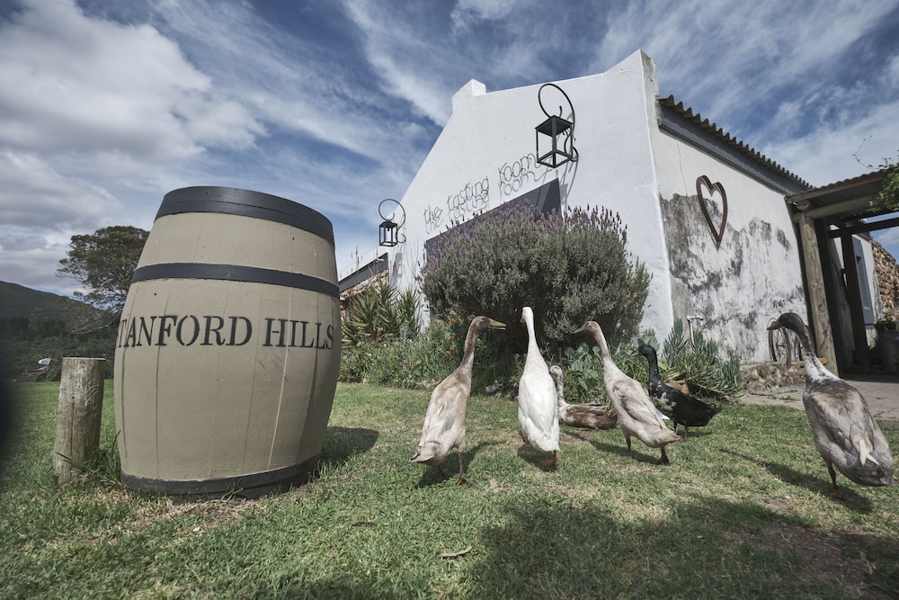 AfriCamps at Stanford Hills Estate- Glamping