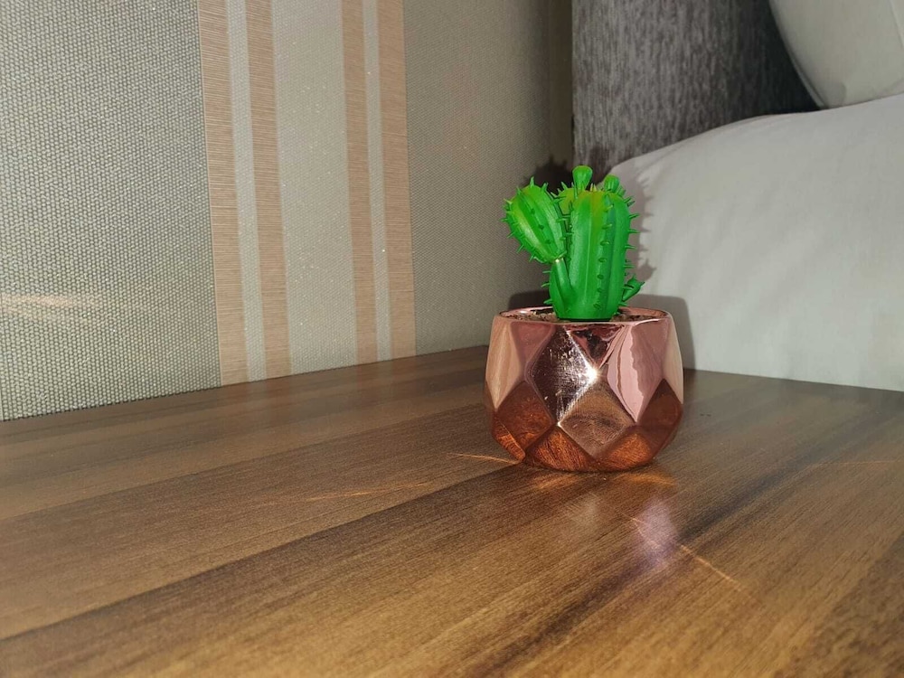Comfortable Homestay in Stoke