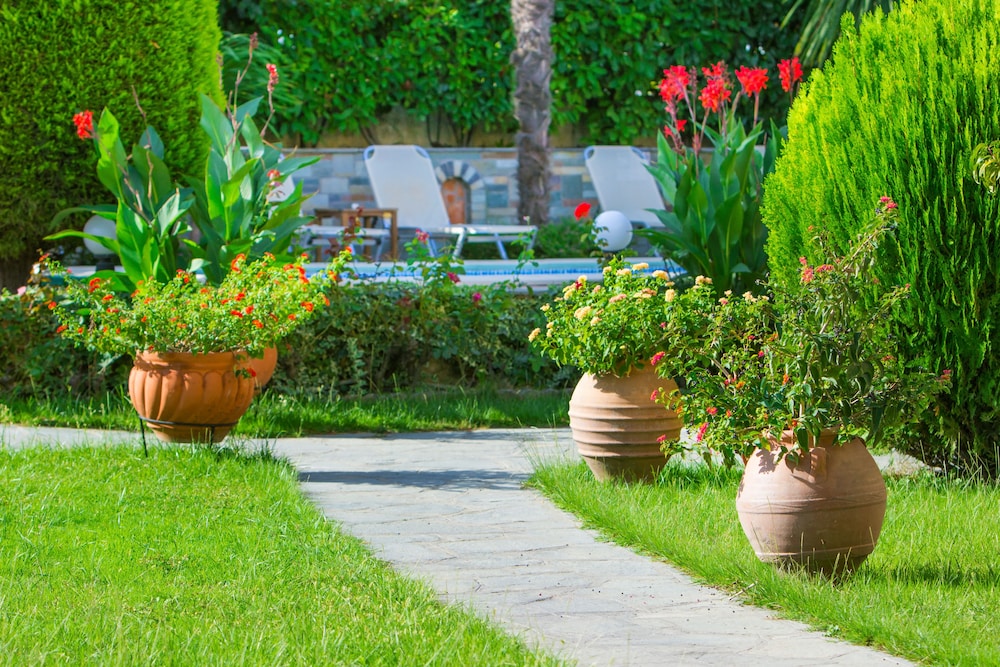 Luxury Villa Fotini photo 5