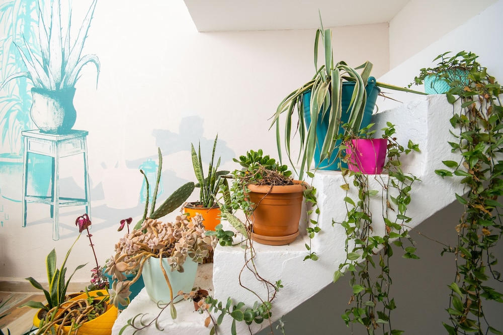 Kuytu Yatak & Kahvaltı - Image 138