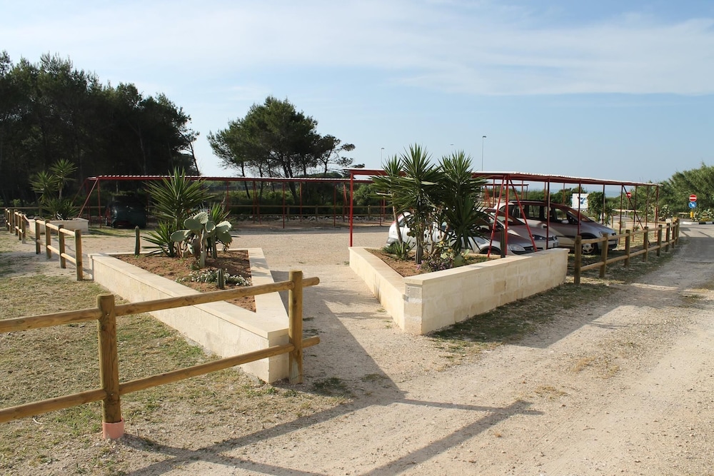 Photo 43