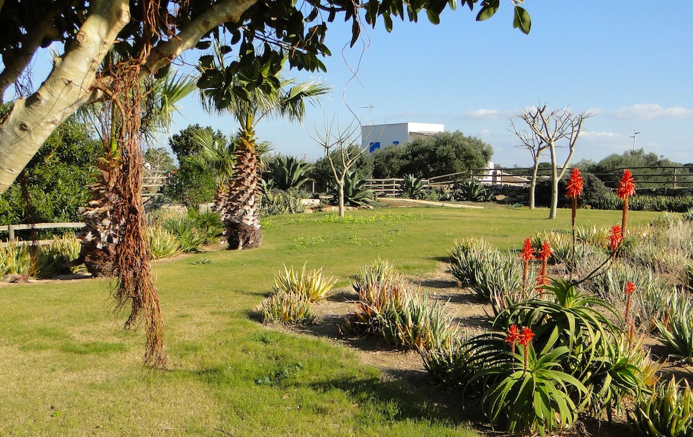 Il Giardino delle aloe