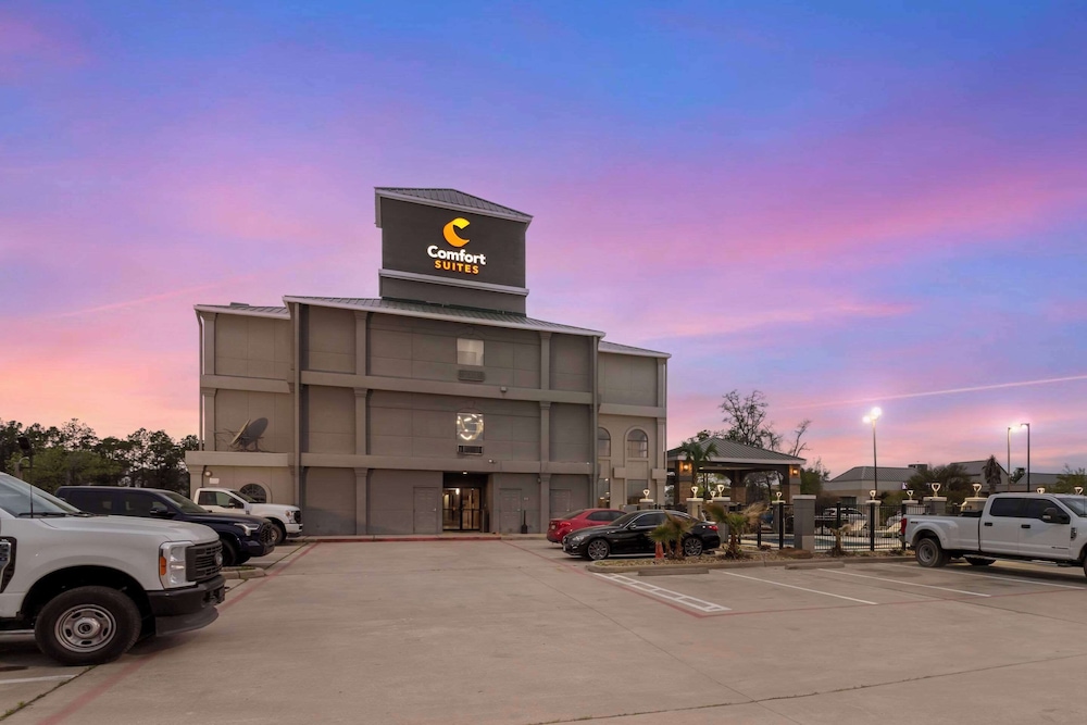 Comfort Suites Shenandoah-The Woodlands - Property Image 2