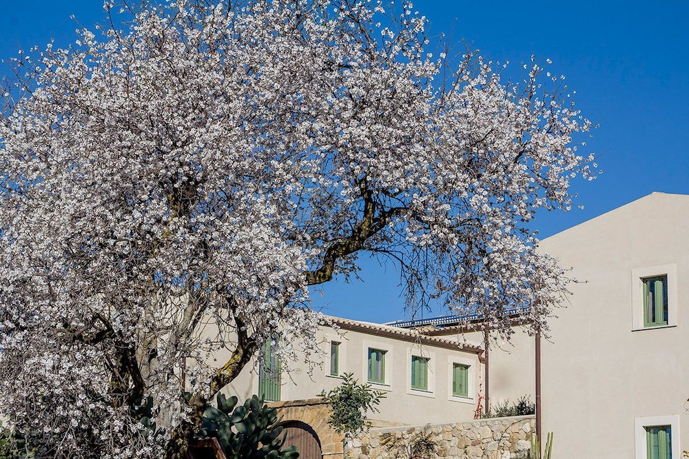 Fontes Episcopi
