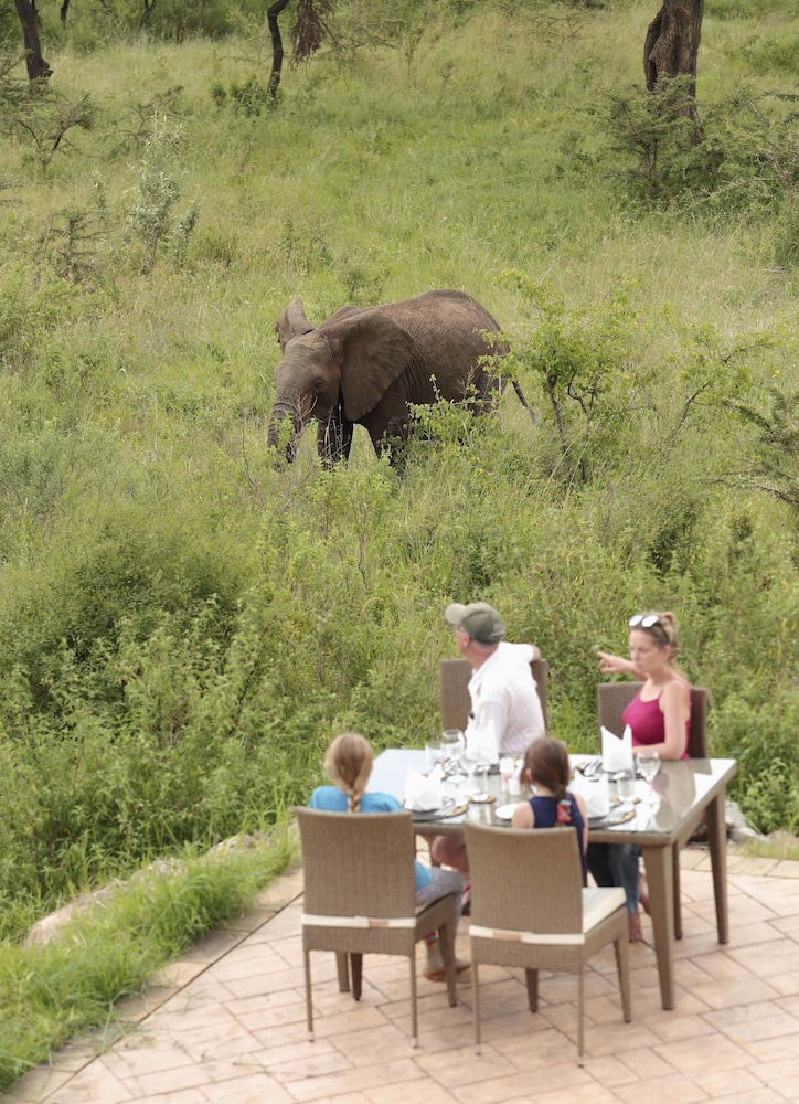 Spirit Of The Masai Mara