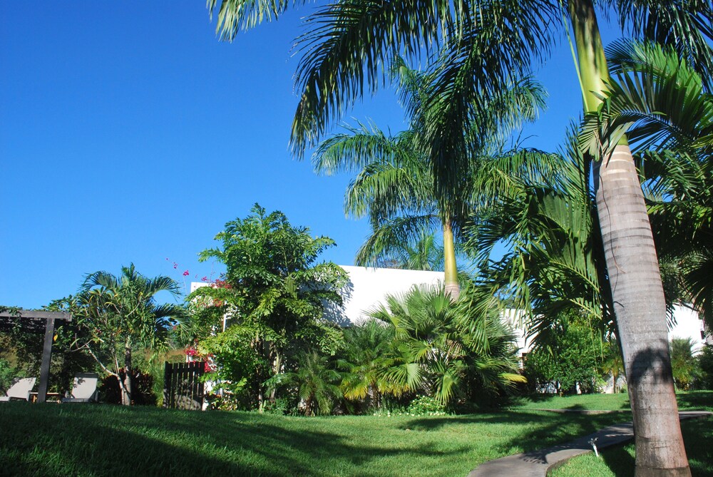 Photo 23
