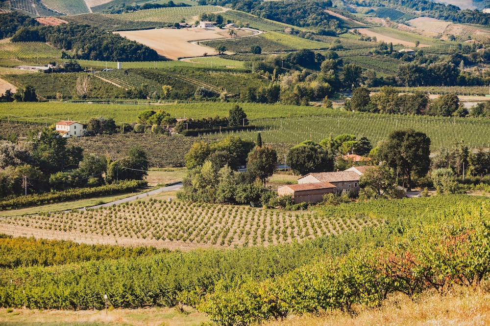 Corte San Ruffillo-Azienda Agrituristica