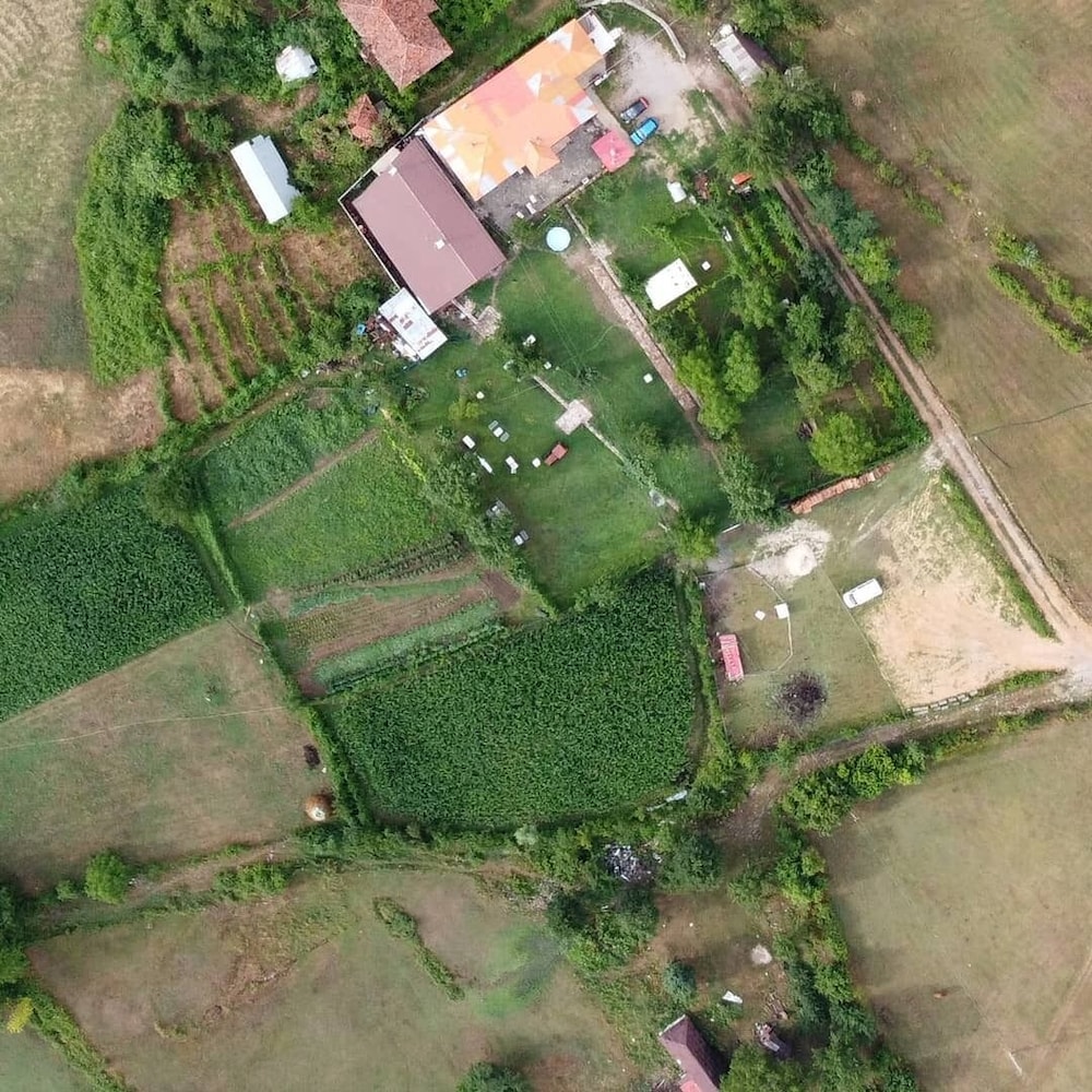 Vila Disha