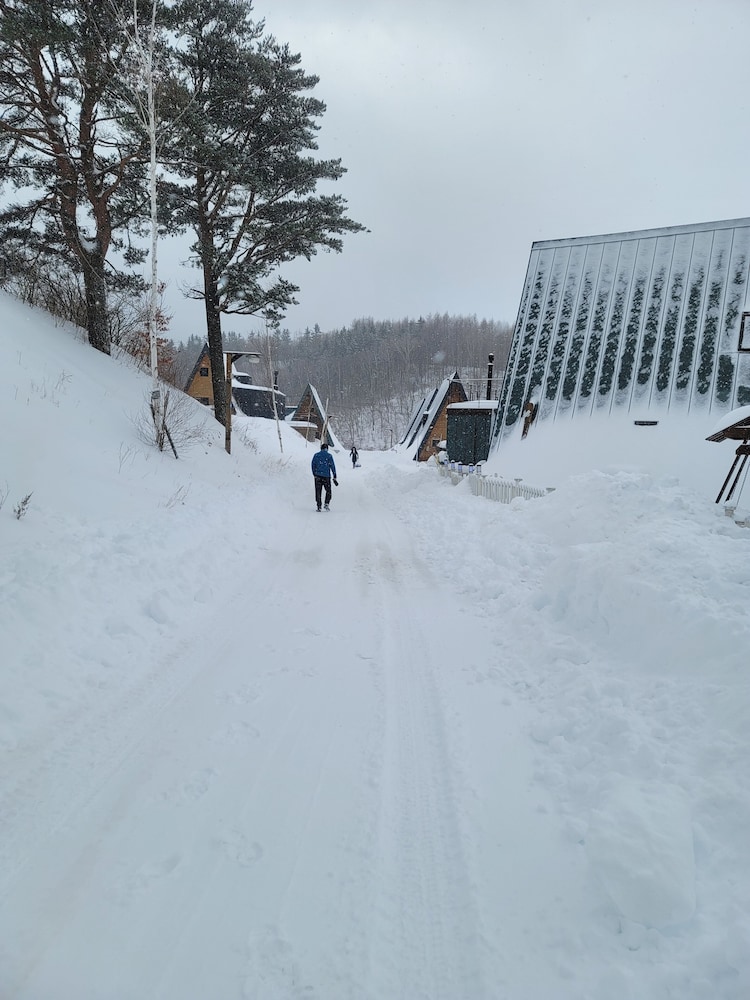 Photo 48