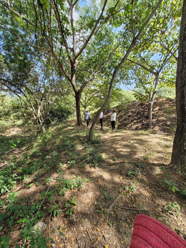 FINCA ECOTURISTICA LOS JAGUEYES