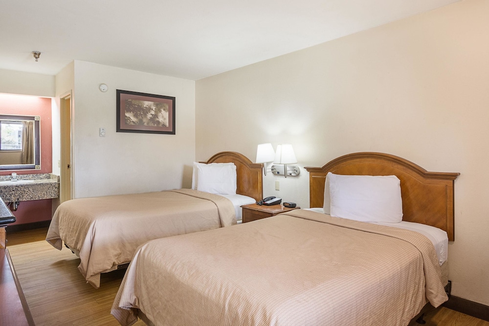 Rodeway Inn Tampa near Busch Gardens - USF, Bilde 16