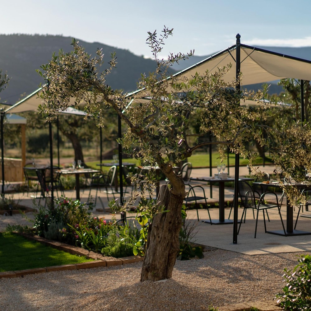 Locanda Della Meridiana - Olivo view 4