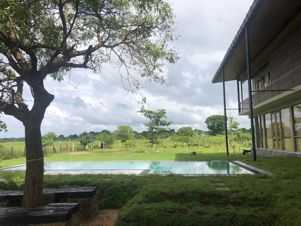 Tree Tops Yala