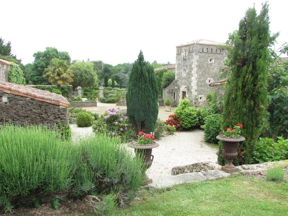 Photo 17