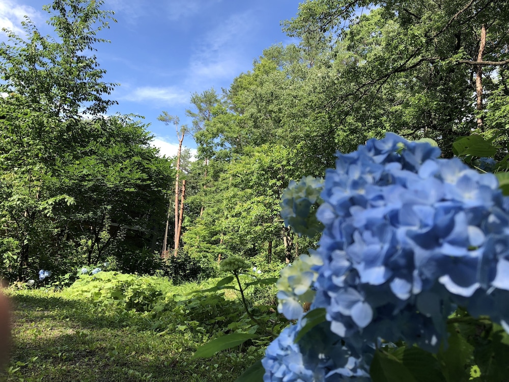 Inn of Amigos Yasuda Pension