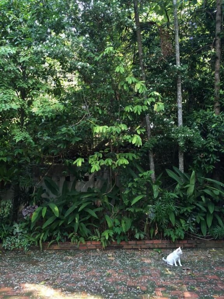 Fern House Retreat
