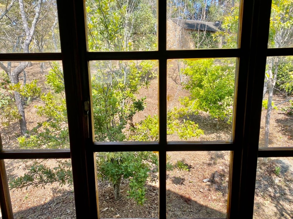 Stunning Private Cottage in the Heart of Nyanga - 2095