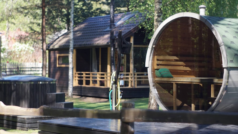 Metai Miške&a Year in the Forest
