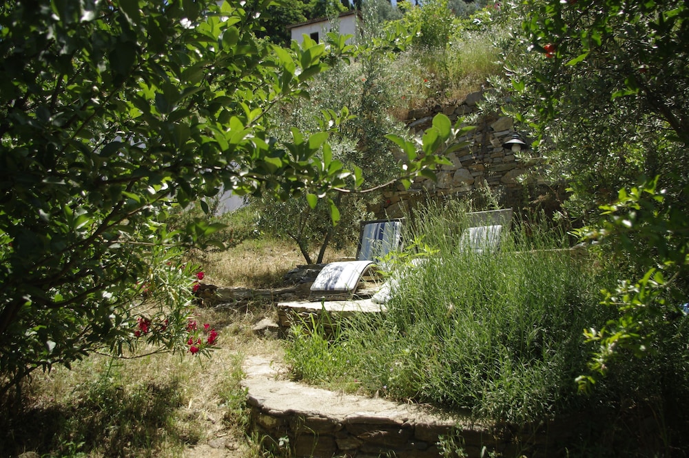 Photo 32