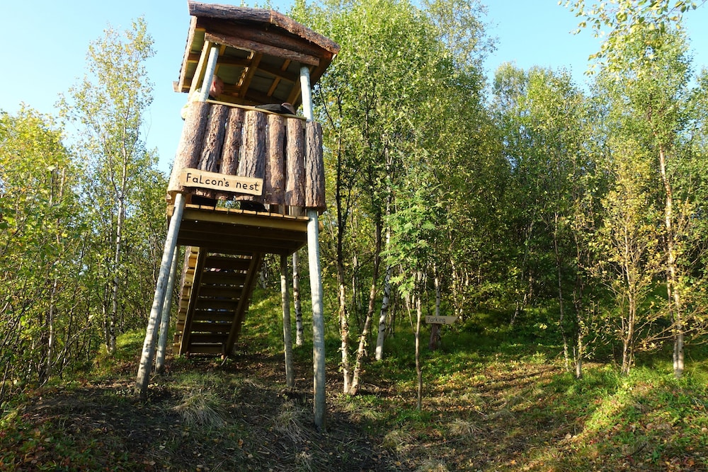 Photo 12