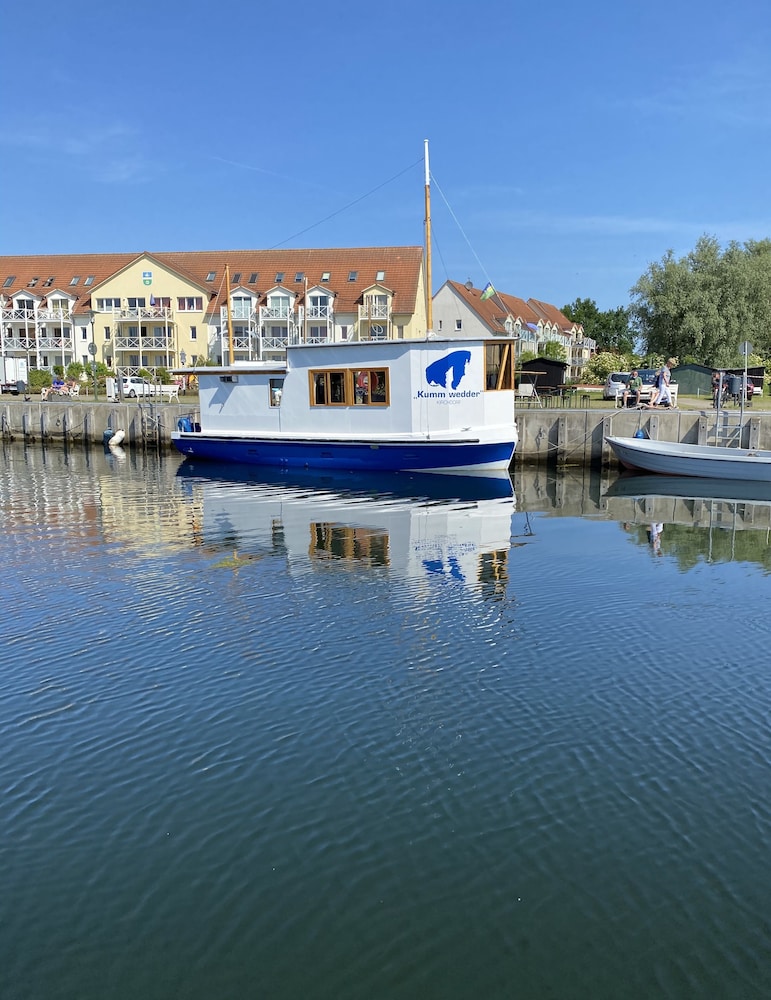 Ostseestern