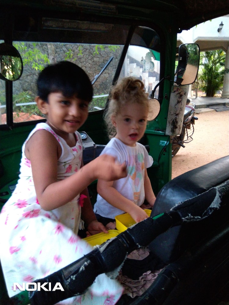 Amron Resort Sigiriya view 4