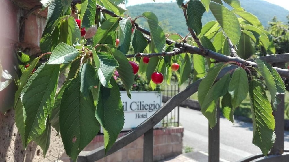 Hotel Il Ciliegio