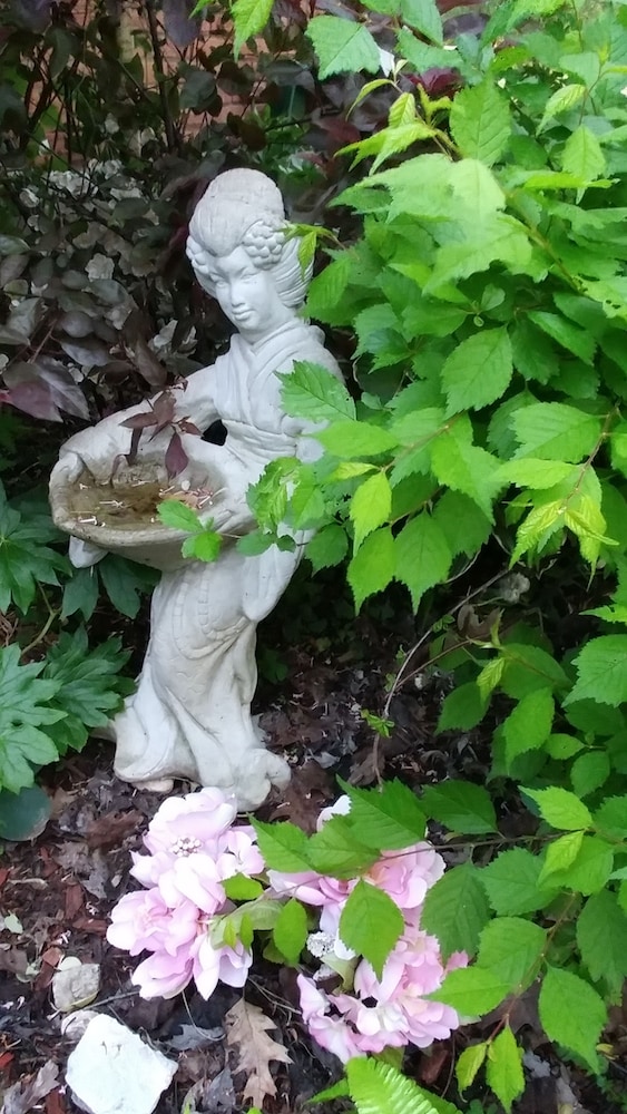 Photo 34