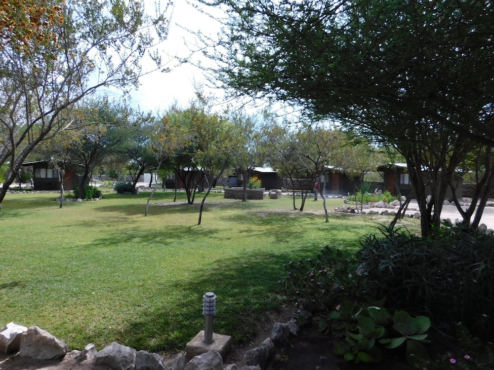 Photo 47